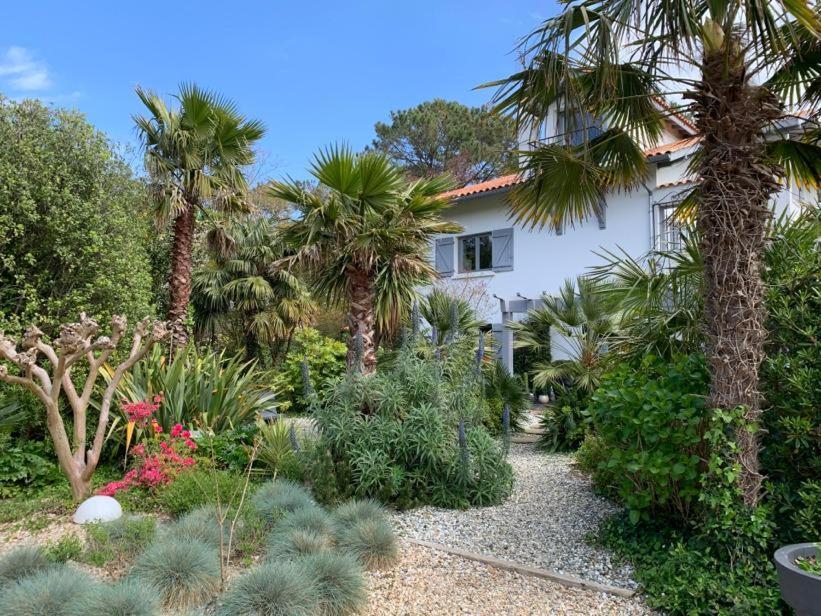 Maison Arbolateia Avec Piscine Et Spa Bidart Exterior foto